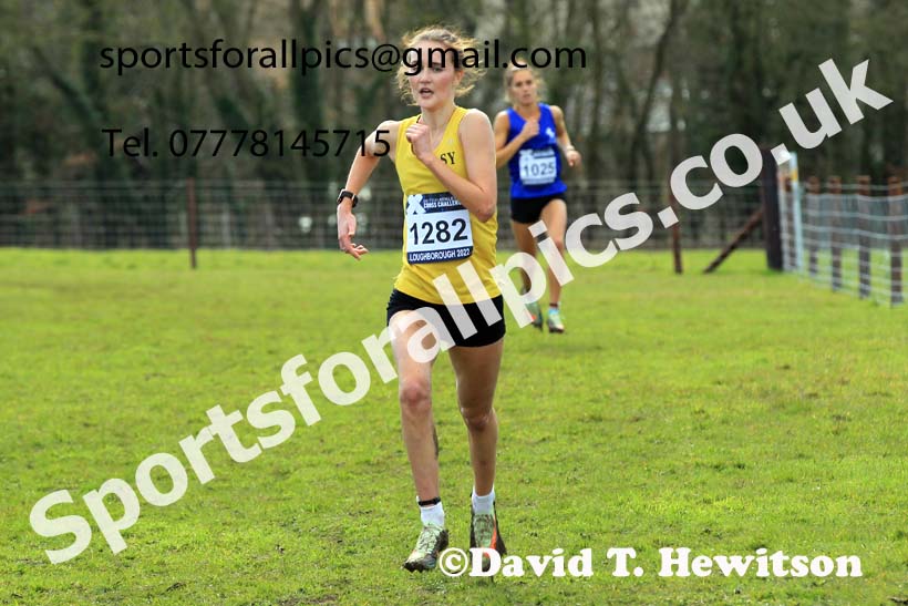 Senior Womens 2022 CAU Inter Counties Cross Country, Prestwold Hall, Loughborough.  Photo: David T. Hewitson/Sports for All Pics